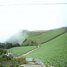 #19] 안반덕(피동령), 구름위에서 만나는 초록의 세상
