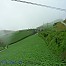 #19] 안반덕(피동령), 구름위에서 만나는 초록의 세상