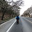 2020-04-12 일] 이포보에서 만난 멋진 청년과 여주 벚꽃길 6.4Km를 달리다